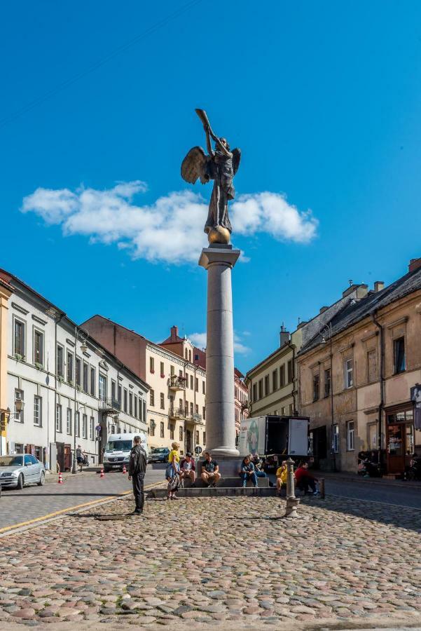Апартаменты Angel House Vilnius 38 Экстерьер фото